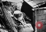 Image German military aider des réfugiés en provenance de zones de lourds bombardements Français Front Ouest, 1915, de la seconde 26 séquences d'archives historiques vidéo 65675045933
