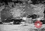 Standbild verlassenen Fort Conde Soissons Frankreich, 1917, aus Sekunde 46 historischem Filmmaterial Videoclip 65675045937