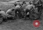 Immagine di Prigionieri di guerra sovietici L'Ucraina, 1919, secondo 36 filmato di repertorio 65675045947