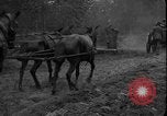Immagine di Soldati polacchi con bracci e pale L'Ucraina, 1919, secondo 17 filmato di repertorio 65675045948