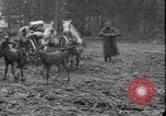 Immagine di Soldati polacchi con bracci e pale L'Ucraina, 1919, secondo 25 filmato di repertorio 65675045948