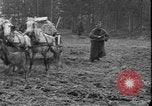Immagine di Soldati polacchi con bracci e pale L'Ucraina, 1919, secondo 26 filmato di repertorio 65675045948