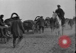 Immagine di Soldati polacchi con bracci e pale L'Ucraina, 1919, secondo 43 filmato di repertorio 65675045948