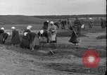 Immagine di Soldati polacchi con bracci e pale L'Ucraina, 1919, secondo 55 filmato di repertorio 65675045948