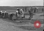 Immagine di Soldati polacchi con bracci e pale L'Ucraina, 1919, secondo 56 filmato di repertorio 65675045948