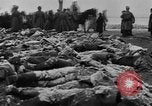Image Tsar Nicholas II vues les soldats tombés Eastern Front théâtre européen, 1916, de la seconde 23 séquences d'archives historiques vidéo 65675045957