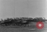 Image of German soldiers on the Western Front in World War I France, 1916, second 61 stock footage video 65675045962