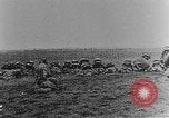 Image troupes autrichiennes bataille sur Front oriental dans Première Guerre Mondiale Eastern Front européen, 1914, de la seconde 42 séquences d'archives historiques vidéo 65675045963
