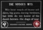 Standbild Hunde des Krieges Vogesen Frankreich, 1917, aus Sekunde 1 historischem Filmmaterial Videoclip 65675045966
