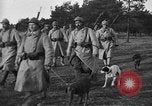 Standbild Hunde des Krieges Vogesen Frankreich, 1917, aus Sekunde 4 historischem Filmmaterial Videoclip 65675045966