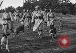 Standbild Hunde des Krieges Vogesen Frankreich, 1917, aus Sekunde 6 historischem Filmmaterial Videoclip 65675045966