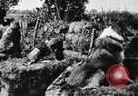 Standbild Hunde des Krieges Vogesen Frankreich, 1917, aus Sekunde 9 historischem Filmmaterial Videoclip 65675045966