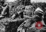 Standbild Hunde des Krieges Vogesen Frankreich, 1917, aus Sekunde 10 historischem Filmmaterial Videoclip 65675045966