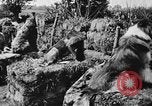 Standbild Hunde des Krieges Vogesen Frankreich, 1917, aus Sekunde 11 historischem Filmmaterial Videoclip 65675045966