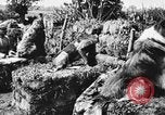 Standbild Hunde des Krieges Vogesen Frankreich, 1917, aus Sekunde 12 historischem Filmmaterial Videoclip 65675045966