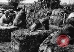 Standbild Hunde des Krieges Vogesen Frankreich, 1917, aus Sekunde 14 historischem Filmmaterial Videoclip 65675045966