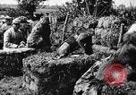 Standbild Hunde des Krieges Vogesen Frankreich, 1917, aus Sekunde 16 historischem Filmmaterial Videoclip 65675045966