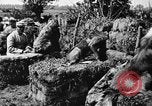 Standbild Hunde des Krieges Vogesen Frankreich, 1917, aus Sekunde 17 historischem Filmmaterial Videoclip 65675045966