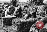 Standbild Hunde des Krieges Vogesen Frankreich, 1917, aus Sekunde 19 historischem Filmmaterial Videoclip 65675045966