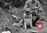Standbild Hunde des Krieges Vogesen Frankreich, 1917, aus Sekunde 20 historischem Filmmaterial Videoclip 65675045966