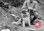 Standbild Hunde des Krieges Vogesen Frankreich, 1917, aus Sekunde 21 historischem Filmmaterial Videoclip 65675045966