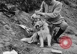 Standbild Hunde des Krieges Vogesen Frankreich, 1917, aus Sekunde 22 historischem Filmmaterial Videoclip 65675045966