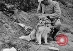 Standbild Hunde des Krieges Vogesen Frankreich, 1917, aus Sekunde 24 historischem Filmmaterial Videoclip 65675045966