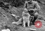 Standbild Hunde des Krieges Vogesen Frankreich, 1917, aus Sekunde 25 historischem Filmmaterial Videoclip 65675045966