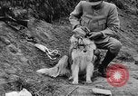 Standbild Hunde des Krieges Vogesen Frankreich, 1917, aus Sekunde 26 historischem Filmmaterial Videoclip 65675045966