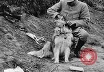 Standbild Hunde des Krieges Vogesen Frankreich, 1917, aus Sekunde 27 historischem Filmmaterial Videoclip 65675045966