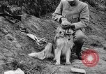 Standbild Hunde des Krieges Vogesen Frankreich, 1917, aus Sekunde 28 historischem Filmmaterial Videoclip 65675045966