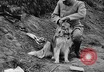 Standbild Hunde des Krieges Vogesen Frankreich, 1917, aus Sekunde 29 historischem Filmmaterial Videoclip 65675045966