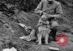 Standbild Hunde des Krieges Vogesen Frankreich, 1917, aus Sekunde 30 historischem Filmmaterial Videoclip 65675045966