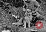 Standbild Hunde des Krieges Vogesen Frankreich, 1917, aus Sekunde 31 historischem Filmmaterial Videoclip 65675045966