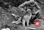 Standbild Hunde des Krieges Vogesen Frankreich, 1917, aus Sekunde 32 historischem Filmmaterial Videoclip 65675045966