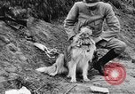 Standbild Hunde des Krieges Vogesen Frankreich, 1917, aus Sekunde 33 historischem Filmmaterial Videoclip 65675045966