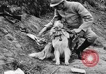 Standbild Hunde des Krieges Vogesen Frankreich, 1917, aus Sekunde 34 historischem Filmmaterial Videoclip 65675045966