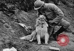 Standbild Hunde des Krieges Vogesen Frankreich, 1917, aus Sekunde 35 historischem Filmmaterial Videoclip 65675045966