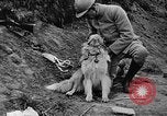 Standbild Hunde des Krieges Vogesen Frankreich, 1917, aus Sekunde 36 historischem Filmmaterial Videoclip 65675045966