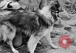 Standbild Hunde des Krieges Vogesen Frankreich, 1917, aus Sekunde 39 historischem Filmmaterial Videoclip 65675045966