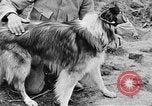 Standbild Hunde des Krieges Vogesen Frankreich, 1917, aus Sekunde 40 historischem Filmmaterial Videoclip 65675045966