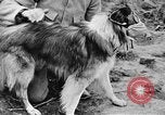 Standbild Hunde des Krieges Vogesen Frankreich, 1917, aus Sekunde 44 historischem Filmmaterial Videoclip 65675045966