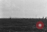 Immagine di Le truppe francesi Fiandre in Europa occidentale, 1916, secondo 61 filmato di repertorio 65675045982
