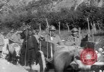 Immagine di Truppe alleate Salonicco Grecia, 1916, secondo 35 filmato di repertorio 65675045984