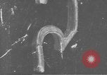 Image of Neues Palais Potsdam Germany, 1916, second 37 stock footage video 65675045988
