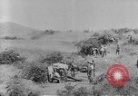 Image of Allied troops Balkans, 1917, second 35 stock footage video 65675045990