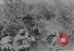 Image of Allied troops Balkans, 1917, second 48 stock footage video 65675045990