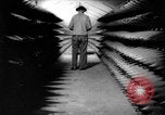Standbild Munitionsfabrik United States USA, 1941, aus Sekunde 14 historischem Filmmaterial Videoclip 65675046027