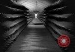 Standbild Munitionsfabrik United States USA, 1941, aus Sekunde 42 historischem Filmmaterial Videoclip 65675046027