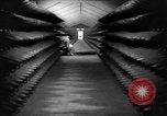 Standbild Munitionsfabrik United States USA, 1941, aus Sekunde 45 historischem Filmmaterial Videoclip 65675046027